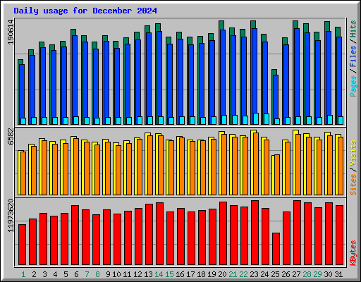 Daily usage for December 2024