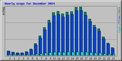 Hourly usage for December 2024