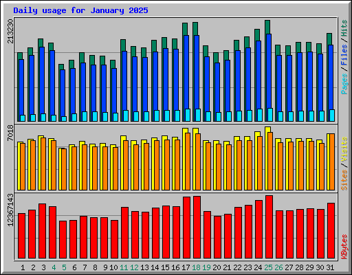 Daily usage for January 2025