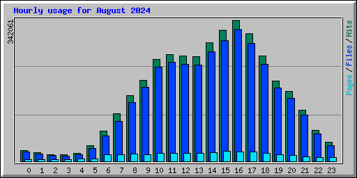 Hourly usage for August 2024