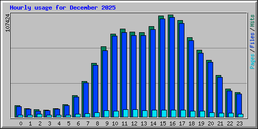 Hourly usage for December 2025
